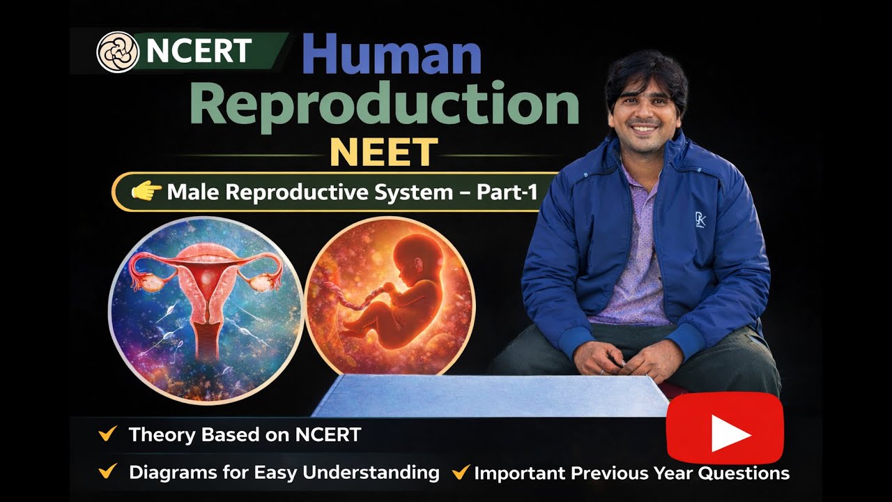 Human Reproduction | NEET - YouTube