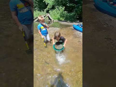 The Bigo Bruski boys are panning for gold!! SW MI 6/10/23. Proud dad right here lol 🤠🤩🥲