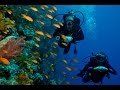 Scuba Diving Sharm El Sheikh 2015