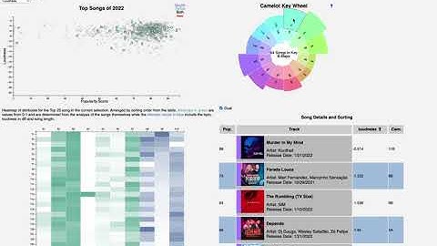 Viral Songs of 2022 Data Visualization - Project Video (Long)