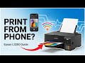 Can Epson L3250 Print from a Phone? (Full Mobile Printing Guide)
