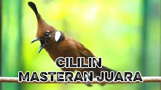 Download Lagu MASTERAN CILILIN JERNIH MP3