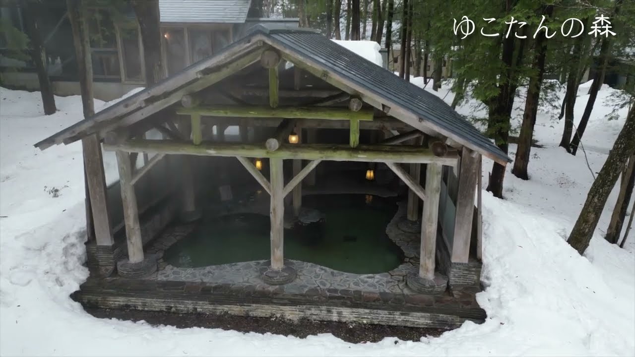 貴重　　山シリーズ　コタンの森 岩手 雫石南網張ありね温泉 ゆこたんの森