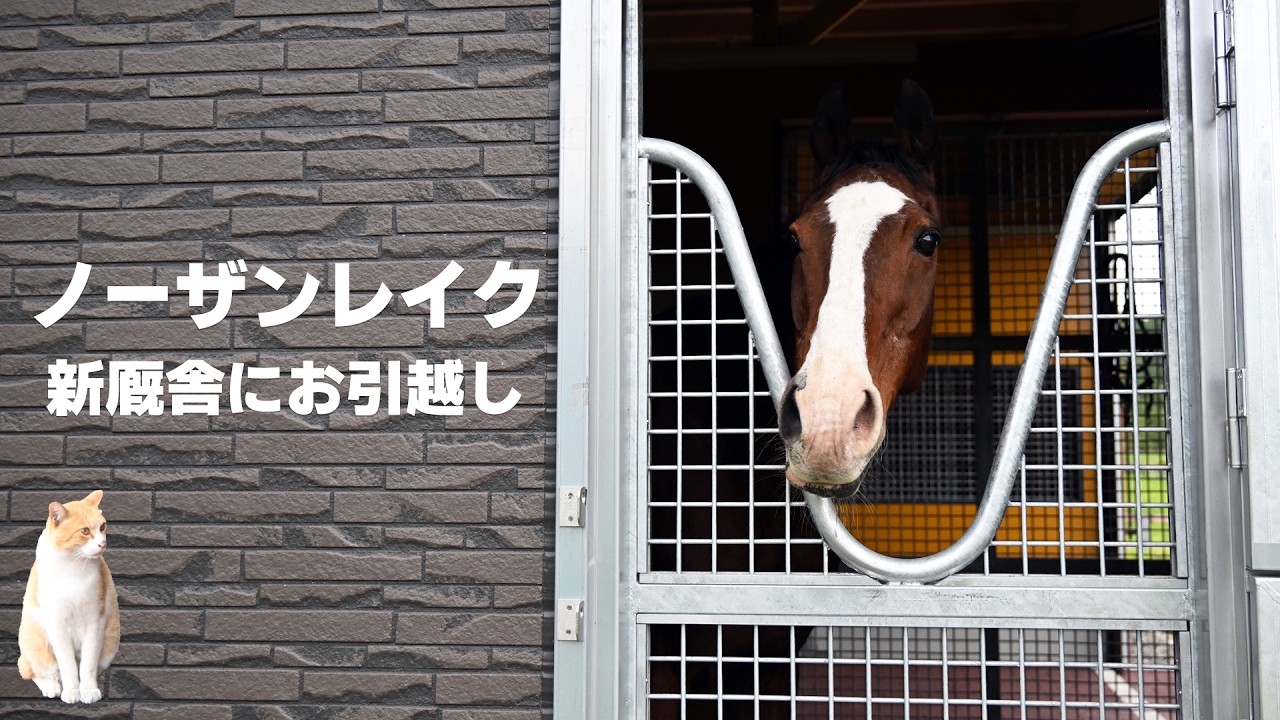 Moving to the New Northern Lake Stables : r/HorseRacingJP