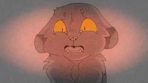 Beau - Hide and seek pmv