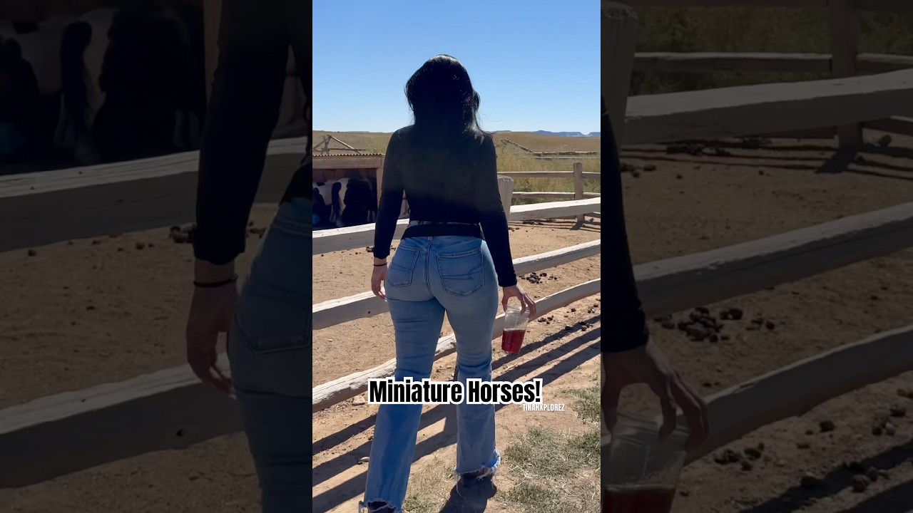 Seen some mini horses on my road trip to SLC! #viralshort #foryou #utah #travel