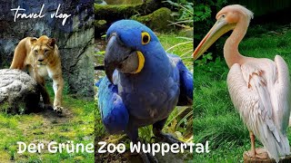 Der Grüne Zoo Wuppertal @klimatatv