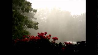 Heavy Rain - Storm Weather Wetter hurrican Monsum Regen Orcan Unwetter Gewitter screenshot 4