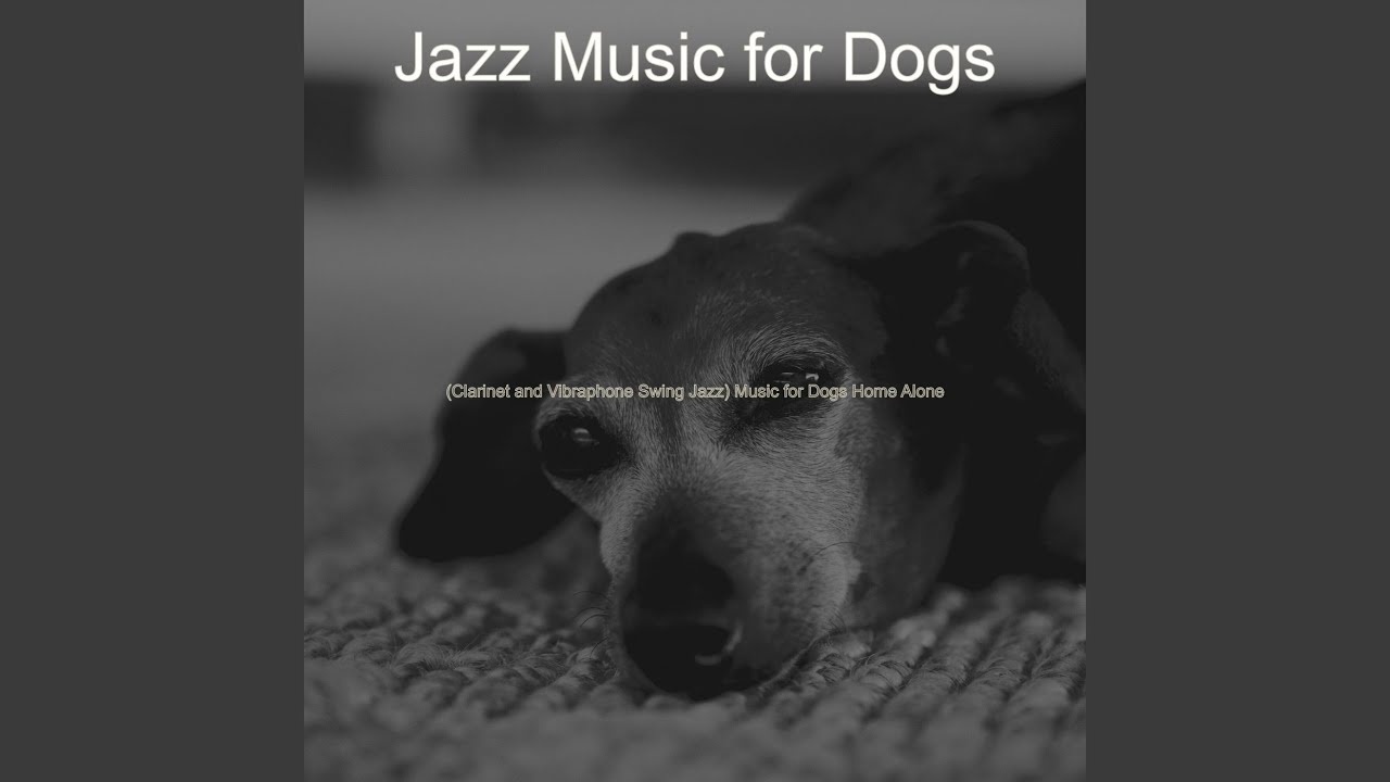 Mellow Ambience for Dogs