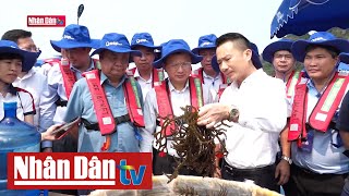 Bản tin 22h ngày 17-5-2024