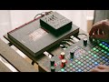 Meng Qi Wingie 2 & Synthstrom Deluge // The process IS the performance!