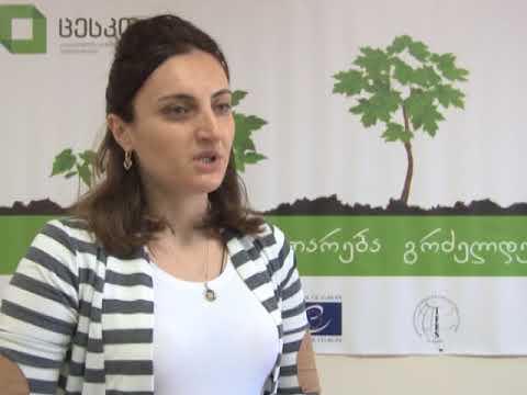 ფოთში საარჩევნო კომისიის წევრები აირჩიეს 04 09 17