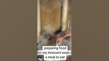 please consider donating to our PayPal link in bio on our Instagram page please #savesoul