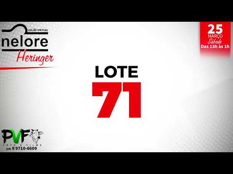 LOTE 71