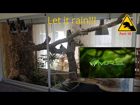 Misting system, reptile