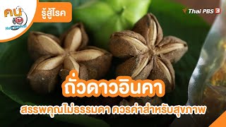 ถั่วดาวอินคาสรรพคุณไม่ธรรมดา ควรค่าสำหรับสุขภาพ | รู้สู้โรค | คนสู้โรค