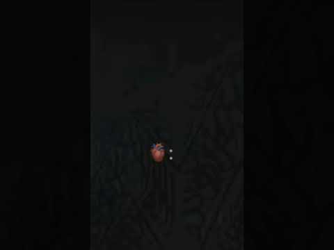 اللهم حققت حلم الآملين فيك 