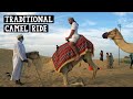 Dubai Desert Safari (Dune Bashing, Belly Dancing &amp; Fire Show)