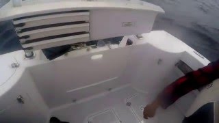 Fishing Trip to Eclipse Island