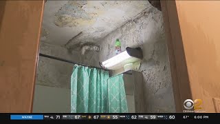 Federal Monitor Says There’s 3 Times More Lead Paint In NYCHA Buildings Than Previously Thought
