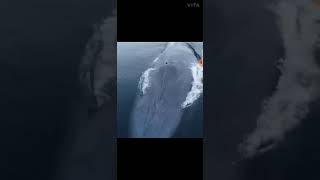 Humpback whale Breathing#humpbackwhales #shorts