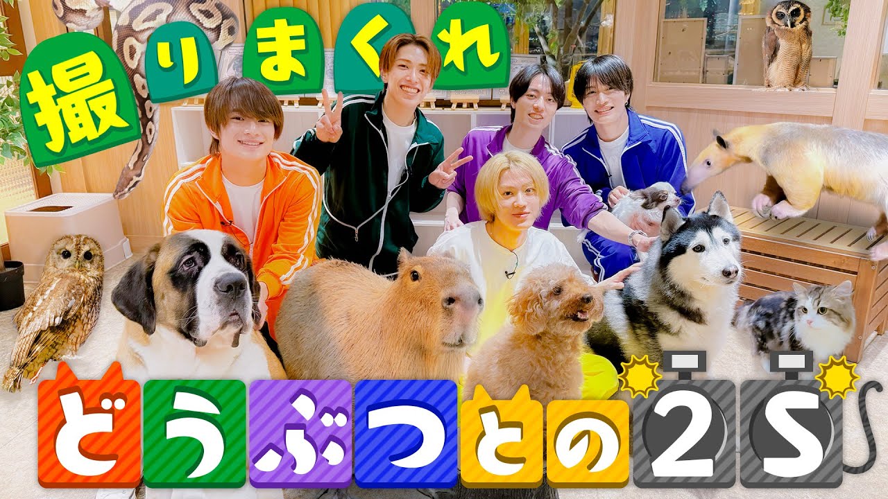 ACEes【どっちが可愛い？？？】動物たちと僕たち…笑笑