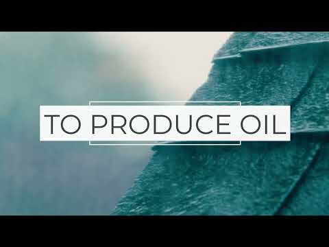 Sky Quarry's Technology & Process - video from Sky Quarry