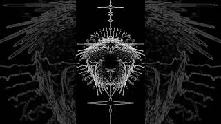 Celebrity Touchdesigner Audioreactive Feedback Loop #audiovisualizer #generativeart #touchdesigner Profile