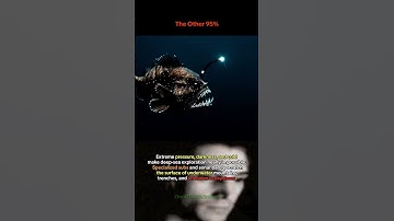 Only 5% of the Ocean Has Been Explored...