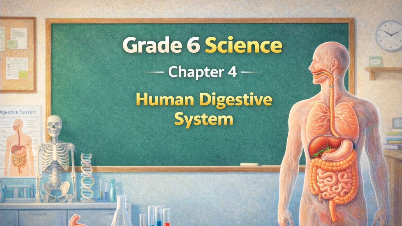 HUMAN DIGESTIVE SYSTEM | Class 6th | Chapter Number 4 | Science With Nasim |#subscribe 