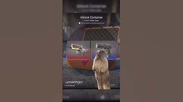 UNREAL CASE OPENING  #cs2 #cs2skins #cs2funny