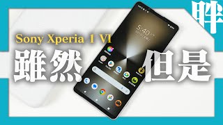 Sony Xperia 1 VI開箱動手玩：幾乎都做對了，除了一件事｜對比Xperia 1 V｜安兔兔跑分｜相機簡單實拍