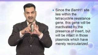 BIO302_Topic195