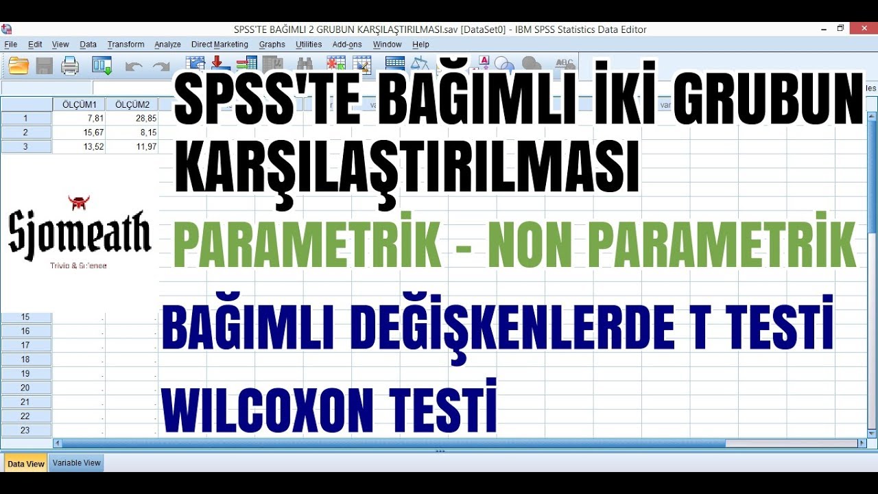 SPSS'te Bağımlı İki Grubun Karşılaştırılması (Parametrik - Non Parametrik Koşullar)