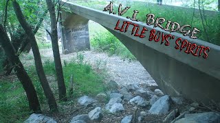AVI BRIDGE! Spirit of Two Dead Boys! Lost Children's Souls!