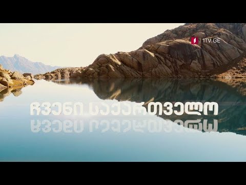 ვასილ მაღლაფერიძის საავტორო პროექტი „ჩვენი საქართველო\" - მალე