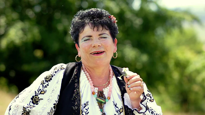 Ana Crisan  - S-a dus tineretea mea