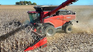 Is This Better Than The X9?? CASE IH AF9 Harvesting Corn!