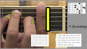 Cách bấm hợp âm không đau tay - cách tập đàn guitar #guitar #guitarhuongdan