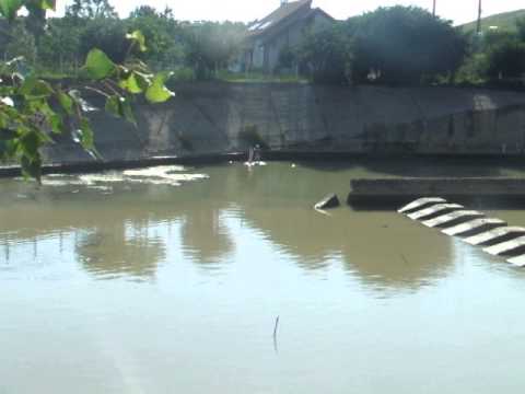 braconaj camera iphone 8 plus apk