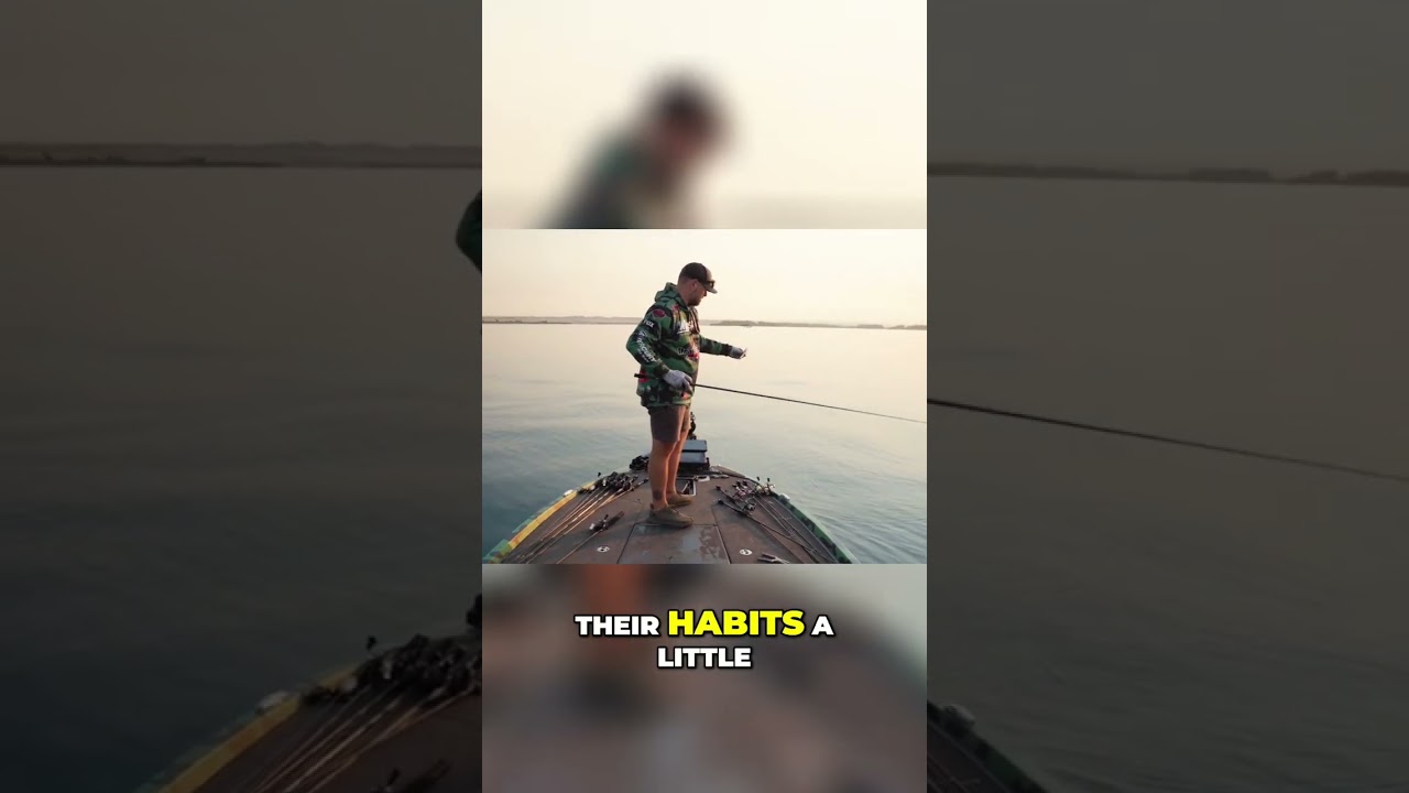 Epic Morning Fishing: Catch & Release!