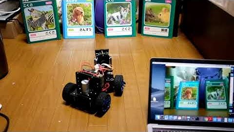 Adeept PiCar-B with raspberry pi that searches and observes dog