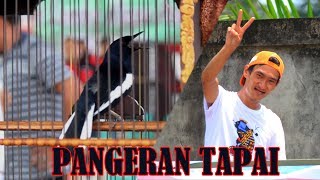 STvBO : Aksi Kacer Pangeran Tapai Milik ABun Cung Di Acara PASAR BARU ENTERPRISE CUP 1