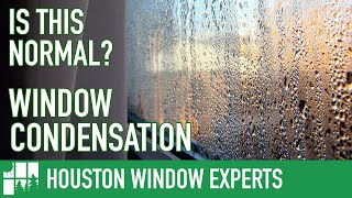 Why Do Windows Get Condensation?