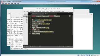 Python :Pexpect库应用-15.其它工具和类3