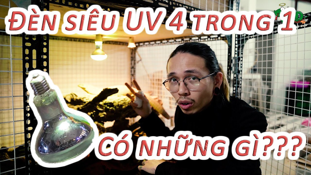Đèn siêu UV 4 trong 1 của Pop Pet shop có những gì???... - youtube