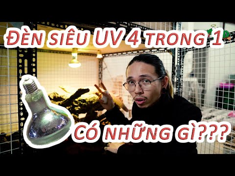 Video Đèn siêu UV 4 trong 1 của Pop Pet shop có những gì???... - youtube