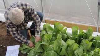Johnny's Season Extension & Overwintering Trials