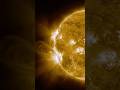 Sun Erupted A High M-Flare This Morning #shorts #science #space #milkyway