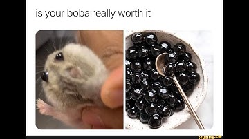 How Is It Made? Boba Pearls
